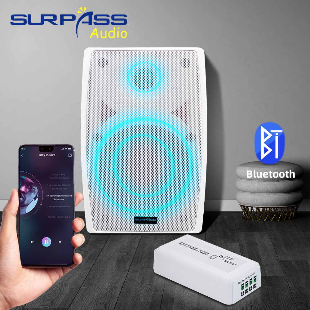 Smart Home Audio Mini Bluetoot - Audio Music Store recensione e prezzo