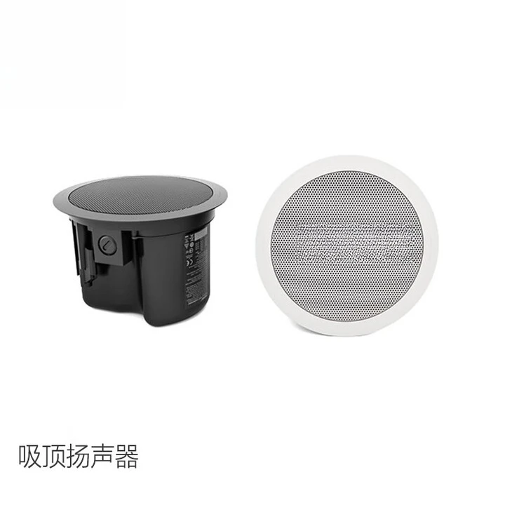 Ceiling audio, fixed pressure  - Audio Music Store recensione e prezzo