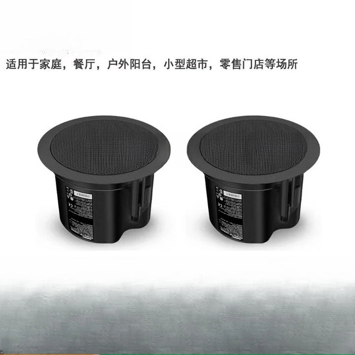 Ceiling audio, fixed pressure  - Audio Music Store recensione e prezzo