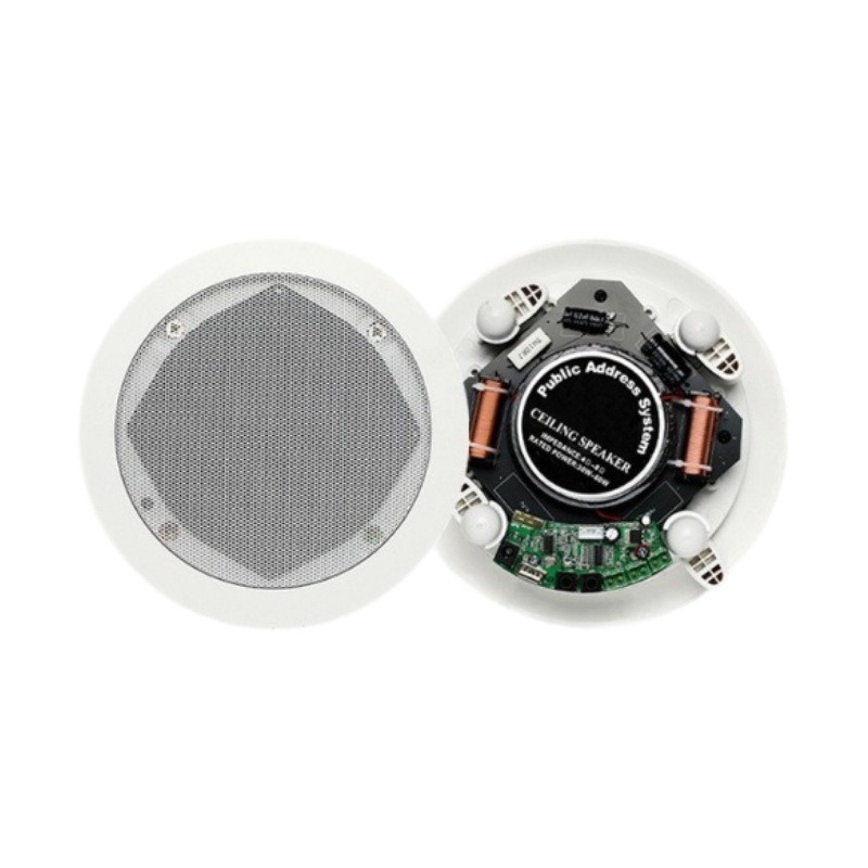 Coaxial Bluetooth Ceiling Spea - Audio Music Store recensione e prezzo