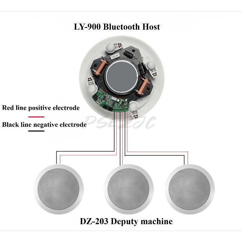 Coaxial Bluetooth Ceiling Spea - Audio Music Store recensione e prezzo