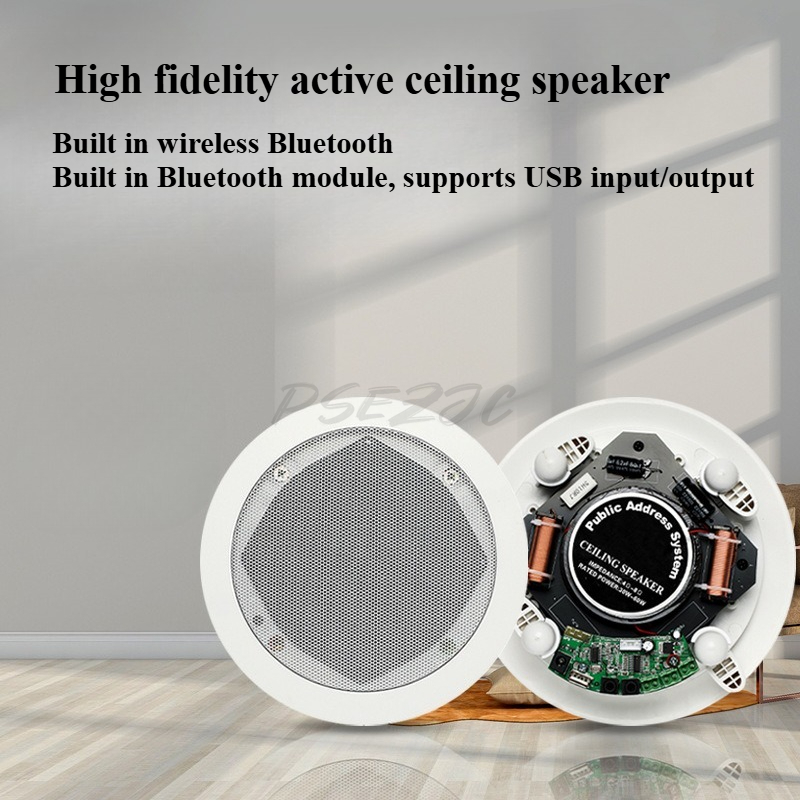 Coaxial Bluetooth Ceiling Spea - Audio Music Store recensione e prezzo