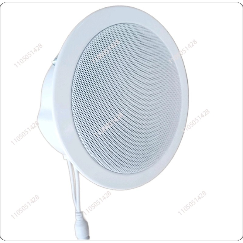 IP network speaker, ceiling au - Audio Music Store recensione e prezzo