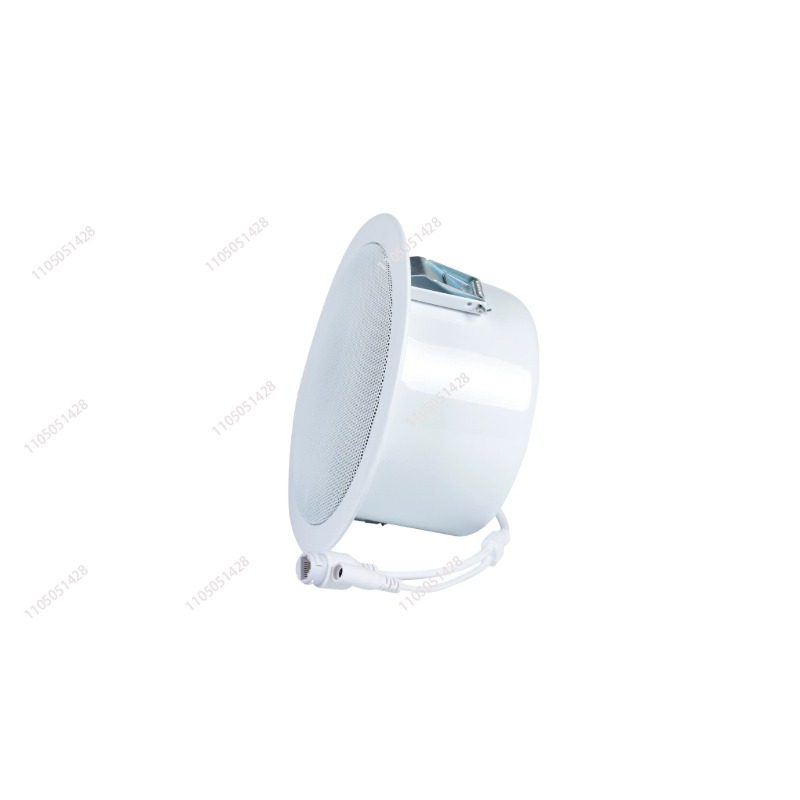 IP network speaker, ceiling au - Audio Music Store recensione e prezzo