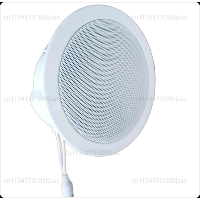 IP Network Speaker, Ceiling Au - Audio Music Store recensione e prezzo