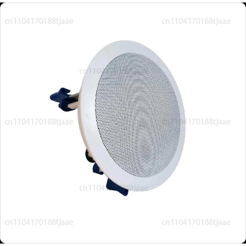 IP Network Speaker, Ceiling Au - Audio Music Store recensione e prezzo