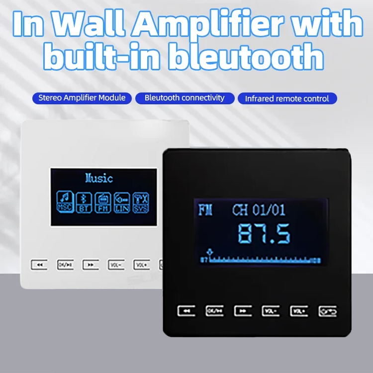 Mini Bluetooth Amplifier Wall  - Audio Music Store recensione e prezzo