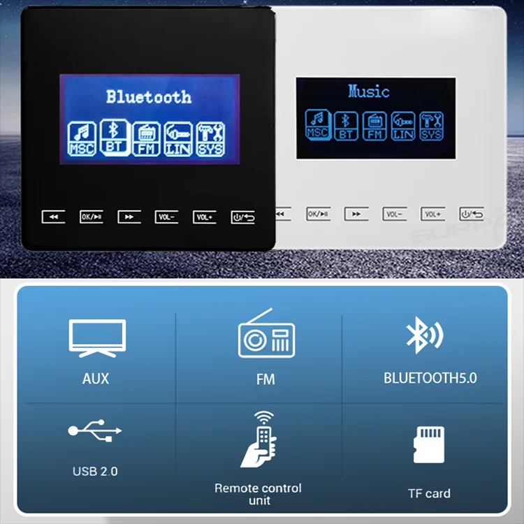 Mini Bluetooth Amplifier Wall  - Audio Music Store recensione e prezzo
