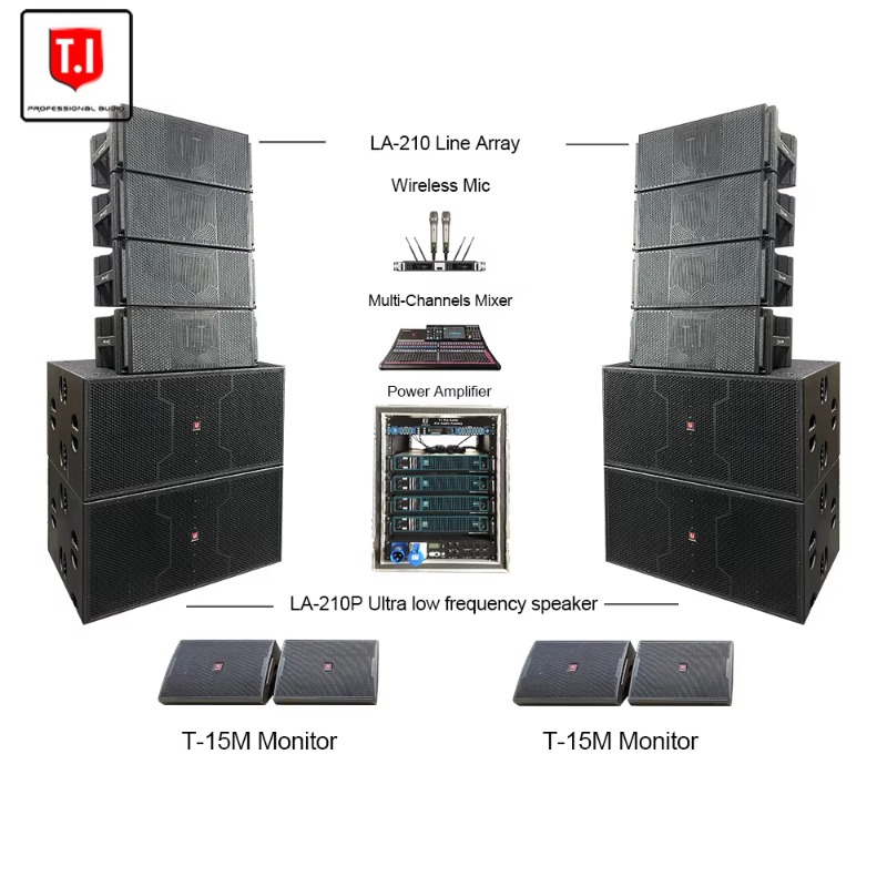 Dual 10 Inch Subwoofer, Profes - Audio Music Store recensione e prezzo